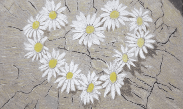 Carte Amour marguerites